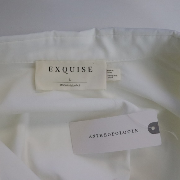 NWT Exquise Anthropologie The Tobie Pleated Blouse Double-Buckle Edition Large - Picture 7 of 11